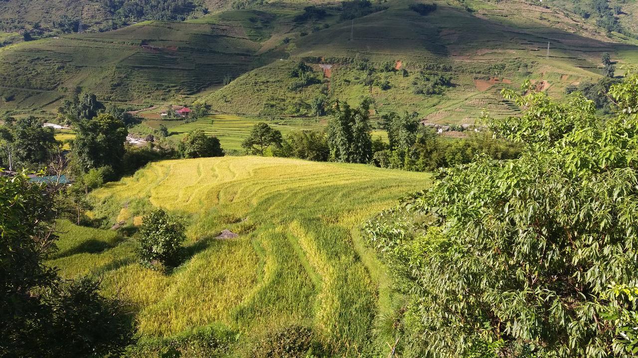 Ta Van Green Hills Homestay Sa Pa Luaran gambar