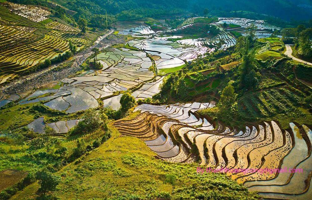 Ta Van Green Hills Homestay Sa Pa Luaran gambar